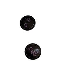 TAPONES LATERALES TAPA ORIGINAL PLANCHA PELO GHD 5.0 PIEZA