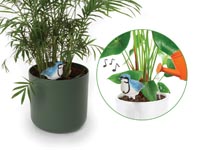 MEDIDOR DE HUMEDAD DEL SUELO PARA PLANTAS SET DE 4, SENSOR DE HUMEDAD