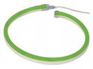 FLEX LED COLOR VERDE 20M 80 LEDS/M 24VDC