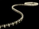 MANGUERA LUMINOSA CON LEDS BLANCO CÁLIDO  5M