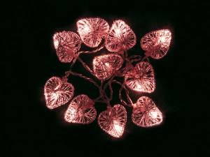 CADENA DE LUZ CON LEDS 10 LEDS CORAZONES