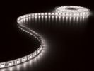 CINTA 300 LEDS FLEXIBLE BLANCO FRÍO 6500K 5 METROS 24V