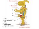 ROBOMECH ROBOT DE MADERA